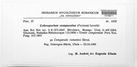 Coleosporium tussilaginis image